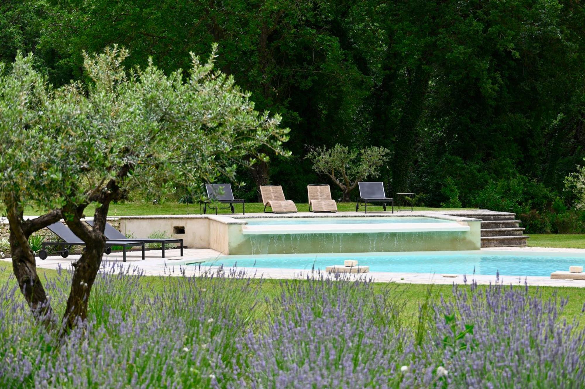 Feijoa En Provence Velleron